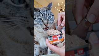 Download lagu [kitty taste test] Orijen Original Entrée for cats mp3