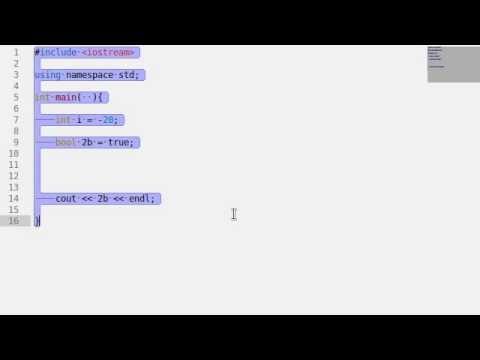 C 02 Data Types and Variables