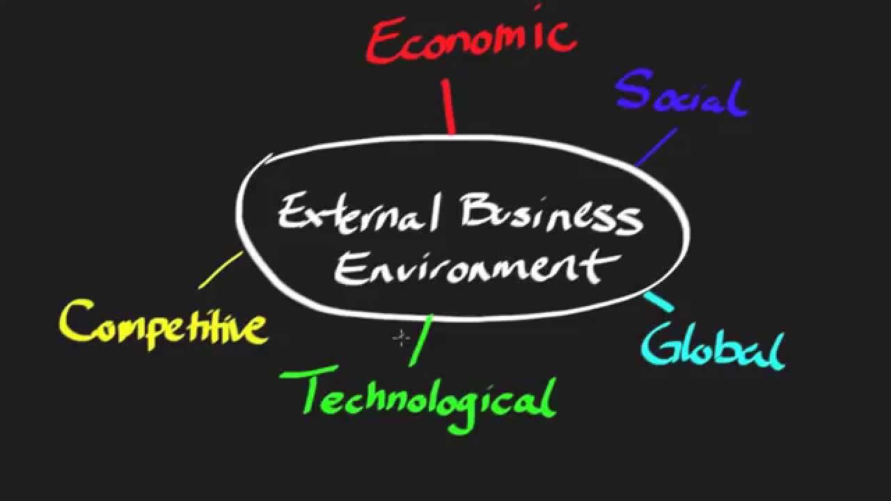 The External Business Environment