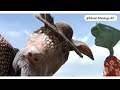 RANGO LATEST 2025 IN CHITONGA Created By Edson Mwiinga Art Please Watch For More