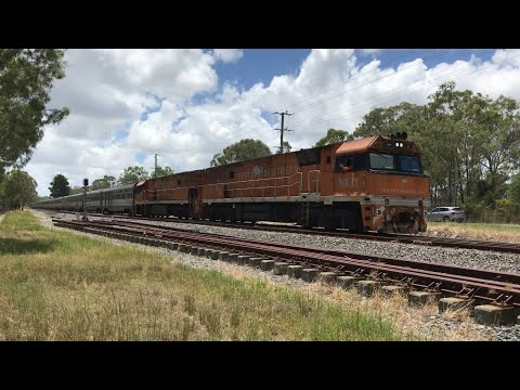 Journey Beyond Great Southern leads 2BT8 with NR31/NR30 south through Greenbank 3/2/25 week 9