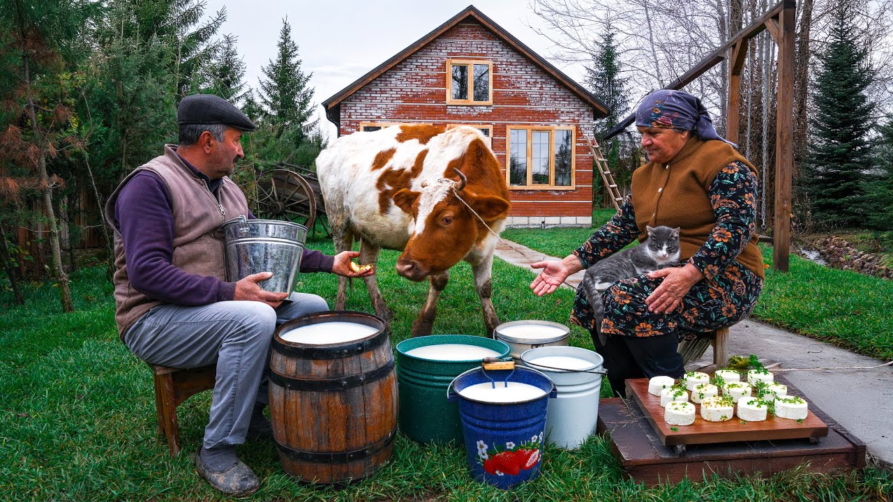 Caucasian Cheese Making | From Fresh Milk to Delicious Cheese