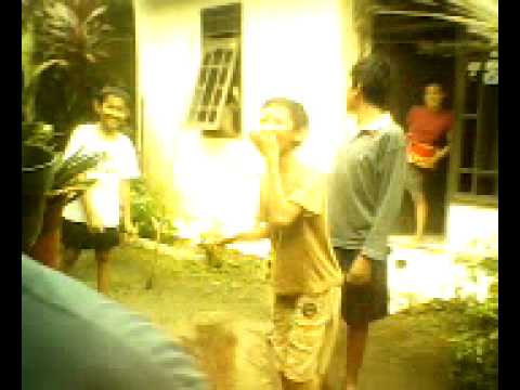 apin kecebur comberan