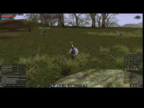 Lineage II: The Chaotic Chronicle 3: Rise of Darkness Firebird x1