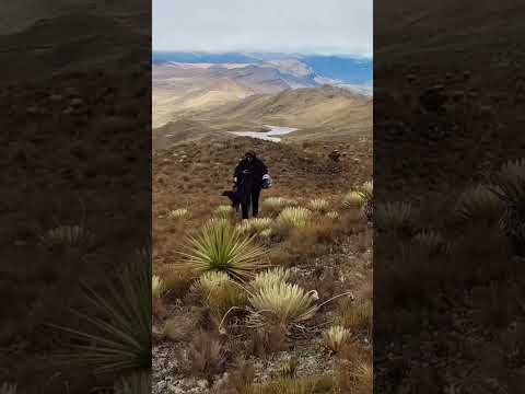 Páramo de Hirva. Aquitania #boyacá #colombia #travel