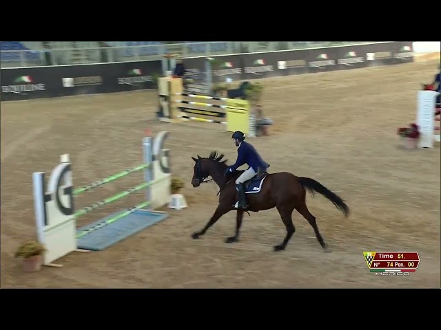 Vendesi cavallo salto