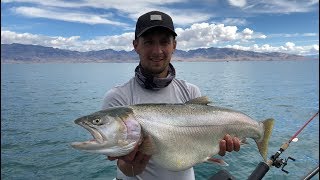 preview picture of video 'Pyramid lake NV, Cutthroat Trout Fishing'