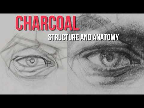 Drawing a Realistic Eye in Charcoal with Structure and Anatomy
