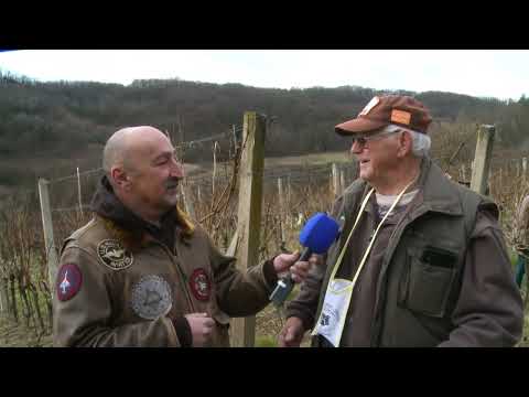 Blagdan sv. Vinka u Pušći