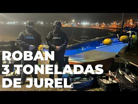 Roban 3 toneladas de jurel en Lota: millonario golpe en la Región del Biobío