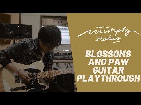 Murphy Radio - Blossoms And Paw (Guitar Playthrough)