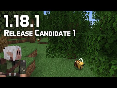 What's New in Minecraft 1.18.1 Release Candidate 1? Keep Your Bees!