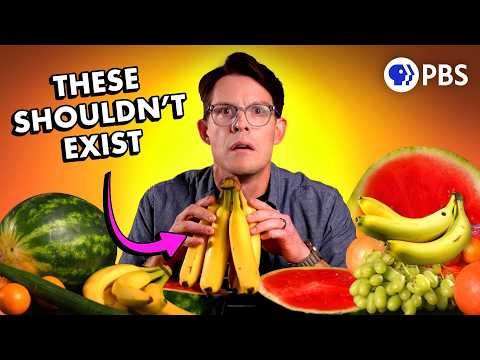 Why Seedless Fruit Is a Disaster Waiting To Happen