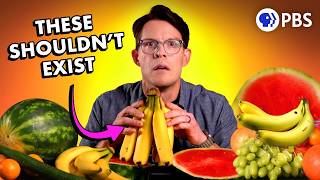 Why Seedless Fruit Is A Disaster Waiting To Happen