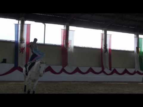 Juniorteam Schäferhof Kür 26.6.11 LM2011