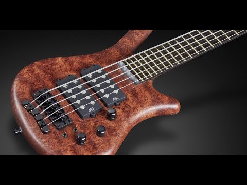 Warwick Custom Shop Masterbuilt - Thumb NT 5-String - Bubinga Pommelé #16-3163
