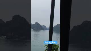 Visting Halong Bay #travel #viral #shorts #travelbdtbd #boattrip #naturephotography #vietnam #halong