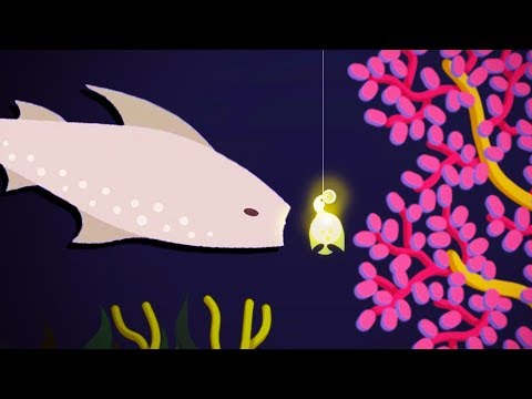 download lagu mp3 mp4 Cat Goes Fishing Maw, download lagu Cat Goes Fishing Maw gratis, unduh video klip Cat Goes Fishing Maw