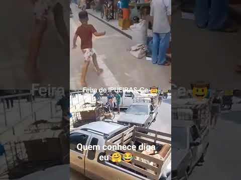 #roça#feira#Ipueiras-ce #fazenda #paisagemnatural #yutubeshorts #agro