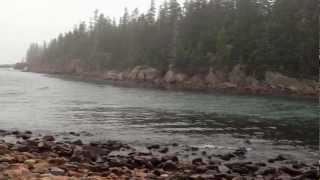 preview picture of video 'Incoming tide at Ship Harbor in Acadia National Park'