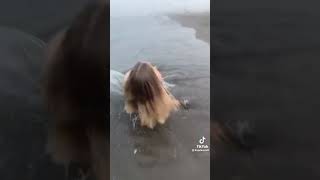 垂れすぎたちち　#tiktok