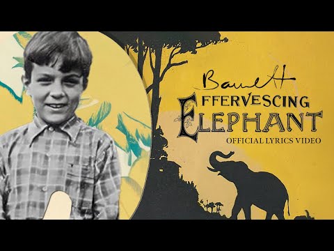 Effervescing Elephant - Syd Barrett - Official Lyric Video