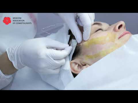 DR BELOUSOVA