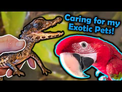 Taking care of my Exotic Pets!