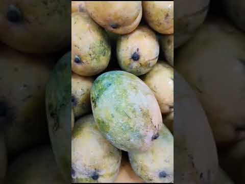 Mango Fresh Fruits