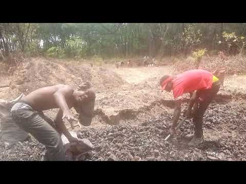 Muleza 1 zinga family