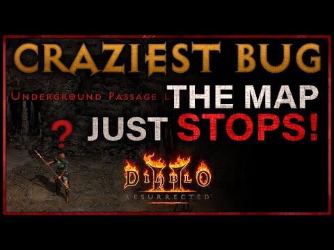 CRAZIEST D2R 2.4 BUG! | THE MAP JUST STOPS