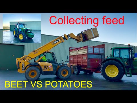 , title : 'COLLECTING FEED POTATOES, POTATO SHORTAGE AND FEEDING BEET VS POTATOES OVERVIEW.'
