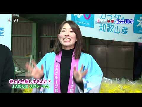 20200317JA紀の里スプレーマム