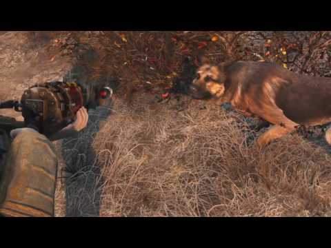 Hellcat5's Catastrophe - Fallout 4 Survival Part 32 - Sneaking and Scavenging Concord