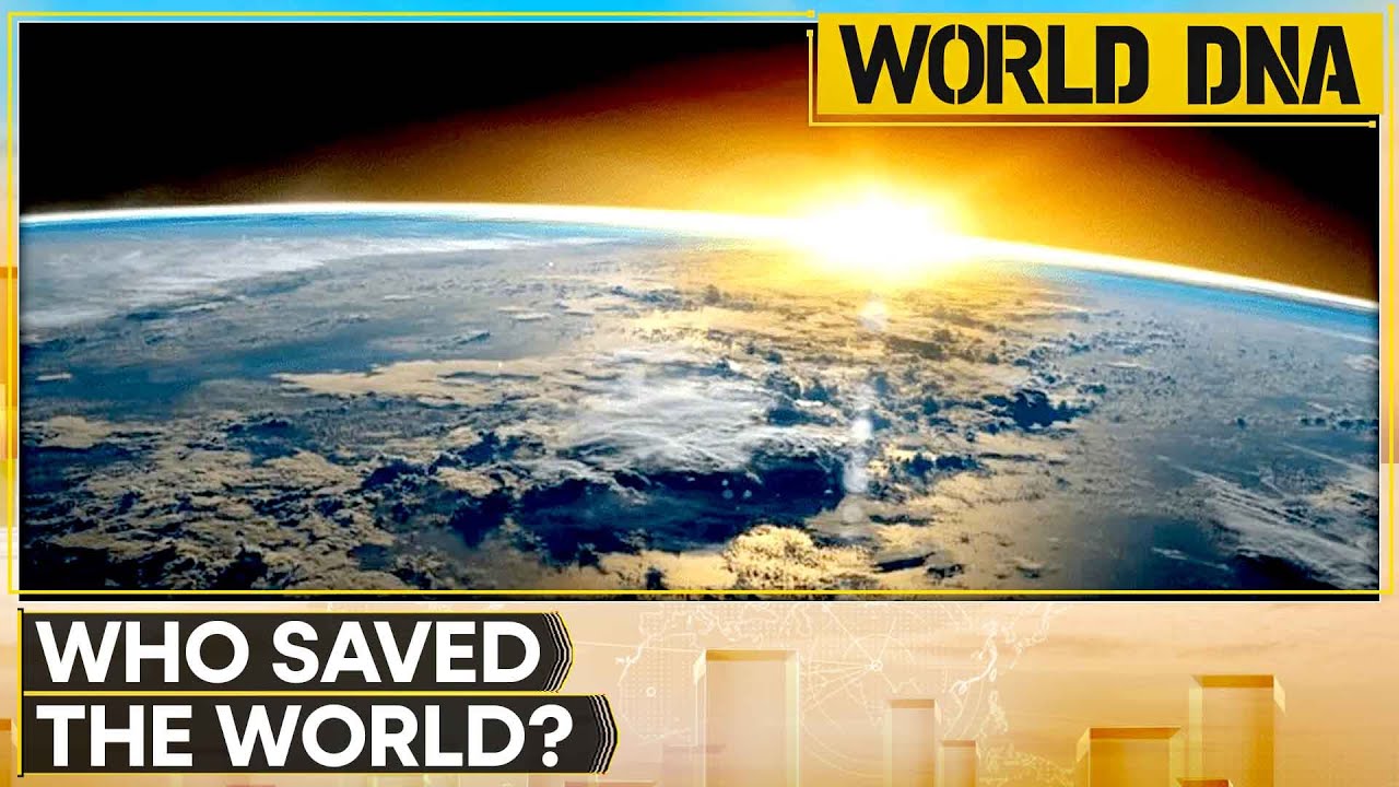 Pope Settles Decades-Long Catholic Debate On Role of Virgin Mary | WORLD DNA