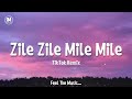 Zile Zile Slowed Reverb Lo Fi Songs