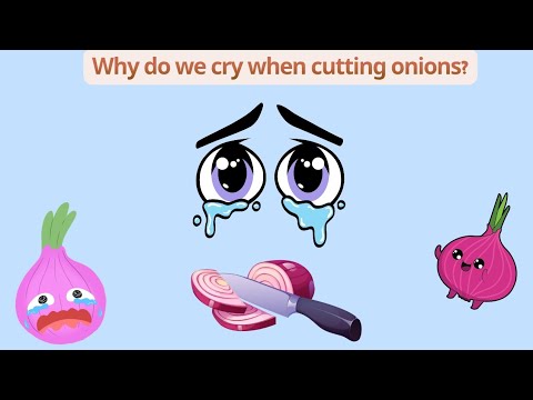 Why do we cry when cutting onions?