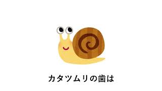 9割の人が知らないクスっと笑える雑学20選【聞き流し用】