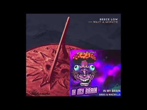 Reece Low Vs. AMAX & MacWills -  Wait In My Brain (Alepandro Mashup)