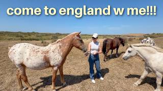 Come to the UK with me!!!