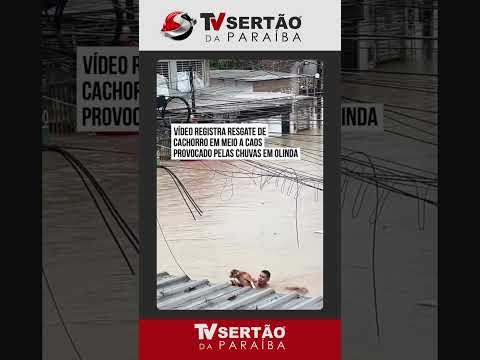 Herói em Olinda: Homem nada em rua alagada para salvar cachorro durante fortes chuvas em PE 🐾🌊
