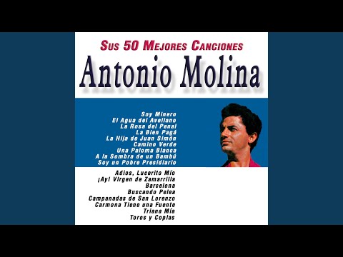 Adios, Lucerito Mío