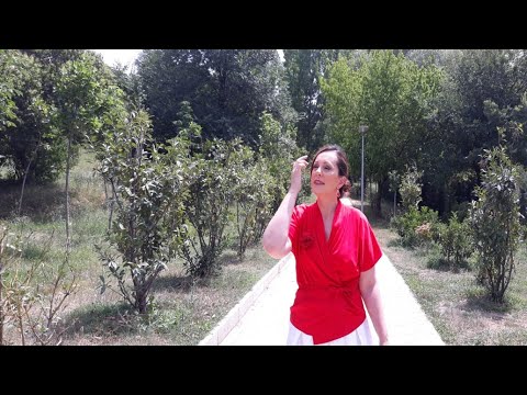 Vitrina e librit/ “Testamentet” e Atwood dhe “Hotel Mëmëdheu” - 27 Qeshor 2021