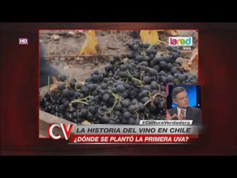 ¿Qué tal? Antiguamente las personas cultivaban vino en sus casas