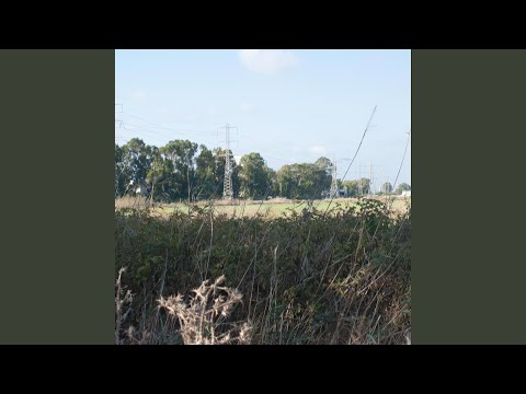 Backstabber (feat. The Virus and Antidote)