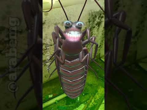 NÃO SE MEXA 🤣 #videooriginal #comedia #baratinha