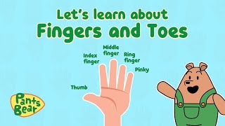 Finger Names in English  Fingers and Toes  Educati