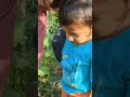 Bavamardalu Dhosakaya Theppadaniki Ki Velthunnaru Bavamardalu Cutebaby Timepass Farming