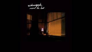 Widowspeak // When I Tried (Official Single)