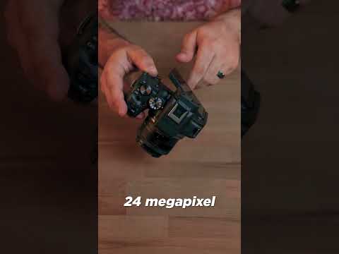 Canon EOS R10, Solid Choice for Photographers